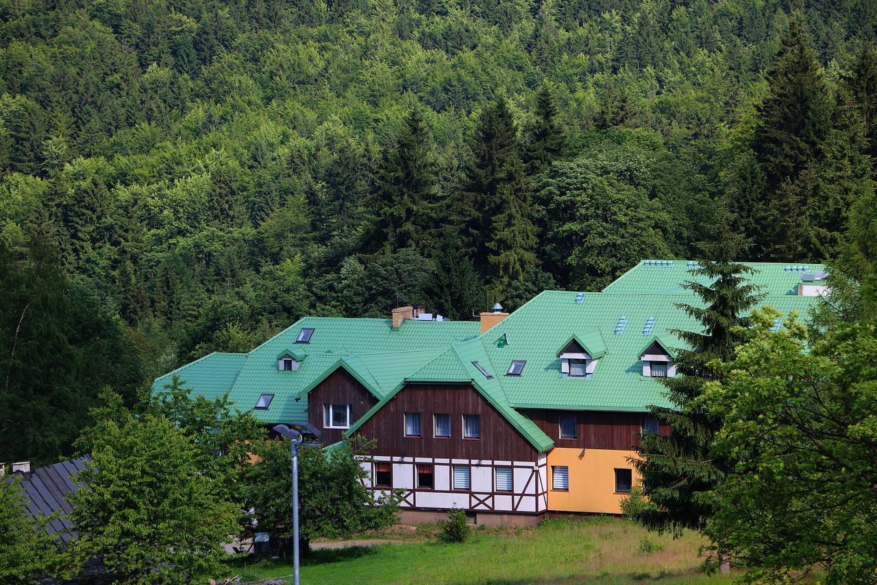 Bialy Potok Bed & Breakfast Zieleniec  Eksteriør bilde