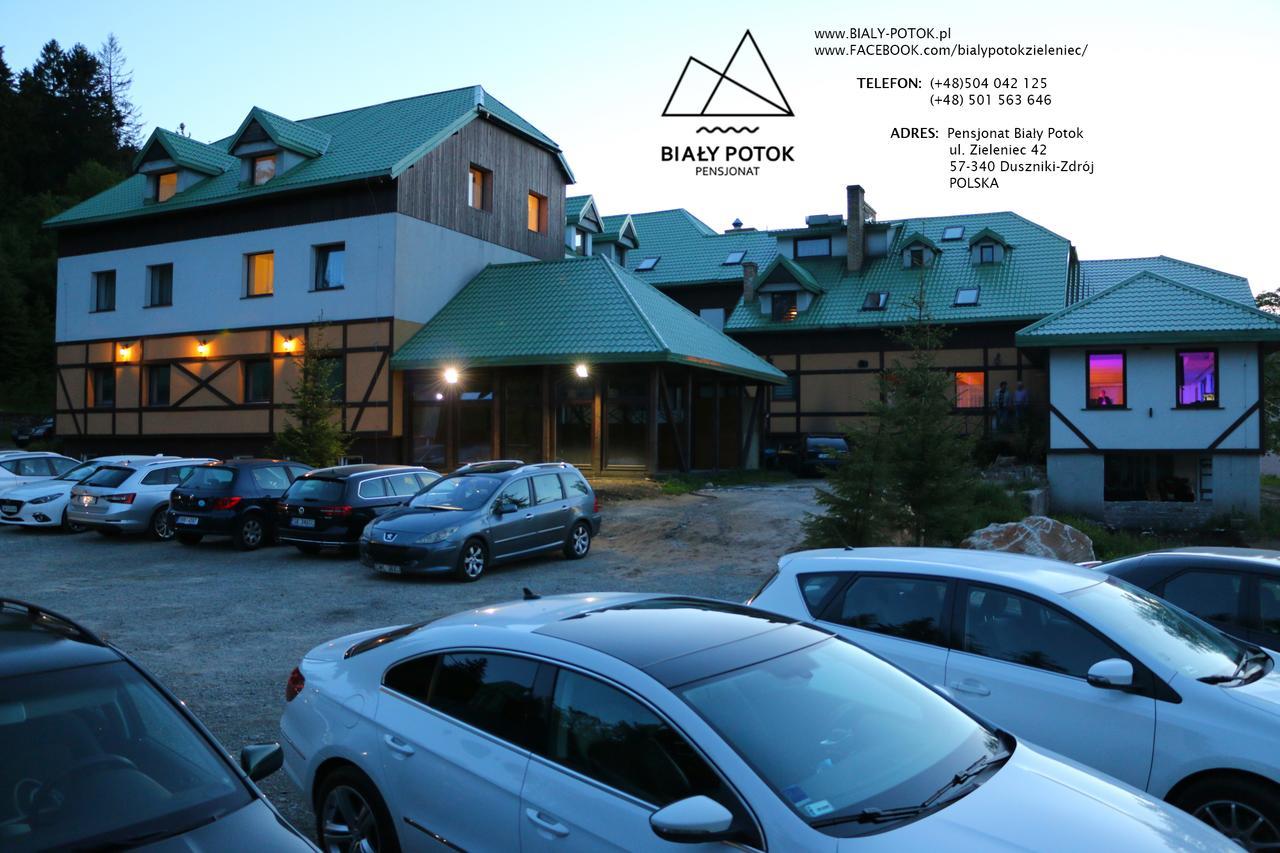 Bialy Potok Bed & Breakfast Zieleniec  Eksteriør bilde
